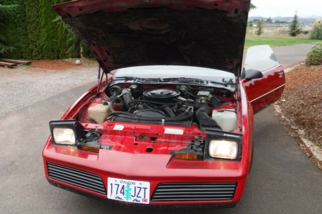 1982 Pontiac Firebird Trans Am - photo 5