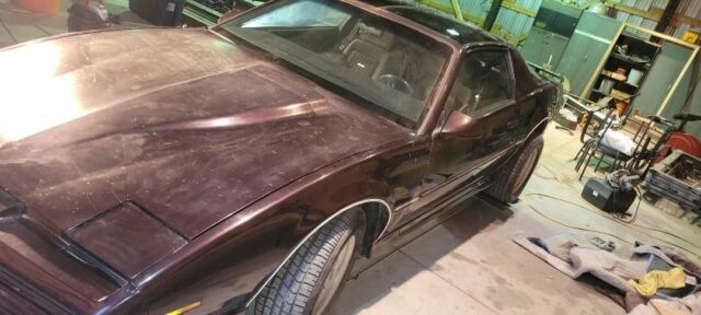 1982 Pontiac Trans Am - photo 2