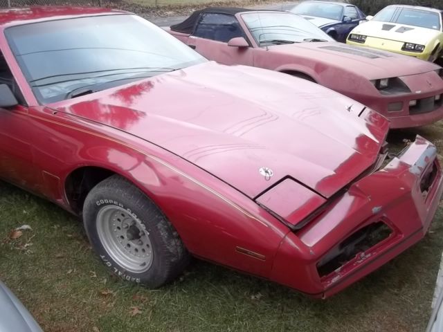 1982 Pontiac Firebird TRANS AM - photo 4