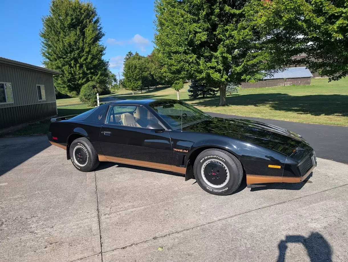 1982 PONTIAC TRANS AM SURVIVOR 1982 Pontiac Trans Am
