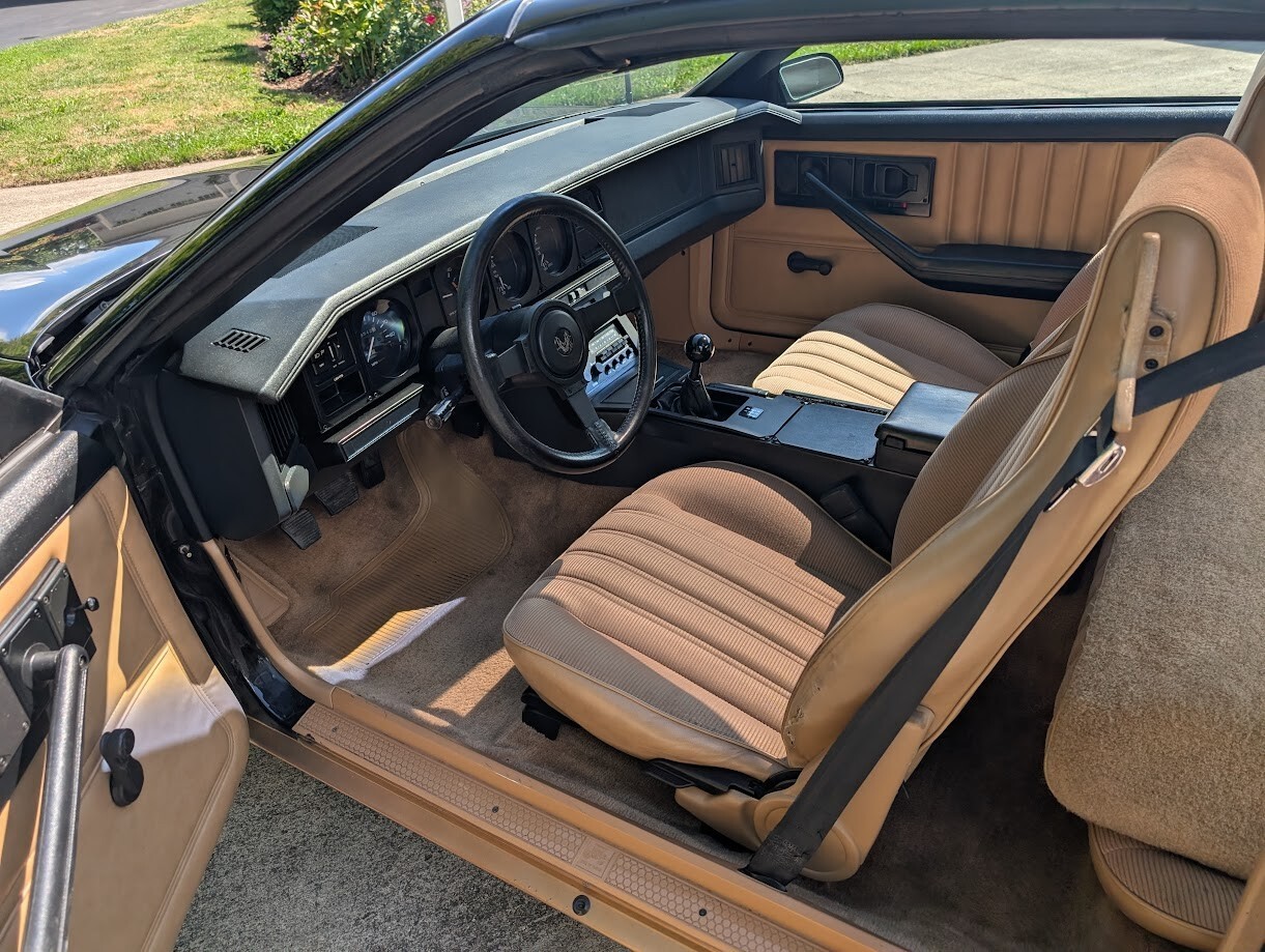 1982 Pontiac Trans Am - photo 12