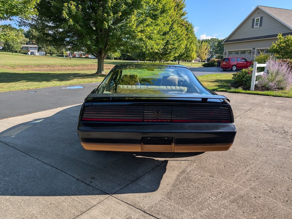 1982 Pontiac Trans Am - photo 6