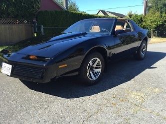1982 Pontiac Trans Am WS7 - photo 3