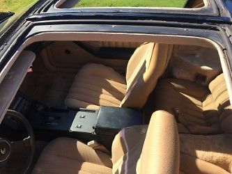 1982 Pontiac Trans Am WS7 - photo 5