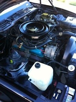 1982 Pontiac Trans Am WS7 - photo 6