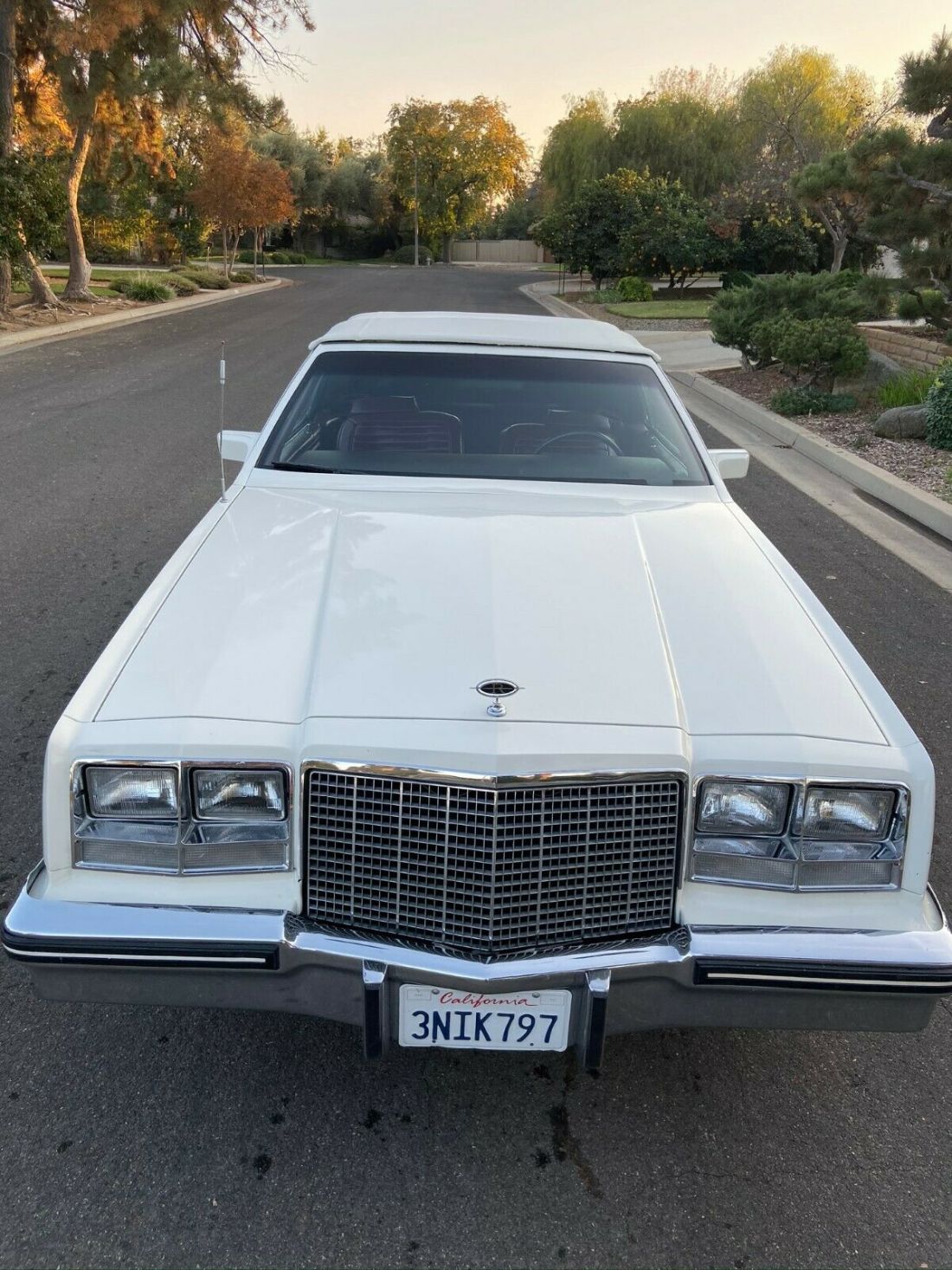 1982 Buick Riviera CONVERTIBLE - photo 2