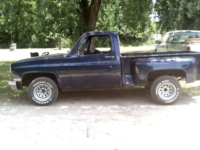 1982 Chevrolet Other Pickups Stepside Scottsdale - photo 3