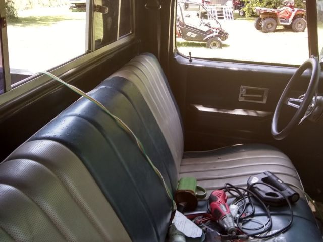 1982 Chevrolet Other Pickups Stepside Scottsdale - photo 5