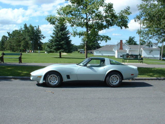 1982 Chevrolet Corvette Silver Green - photo 3