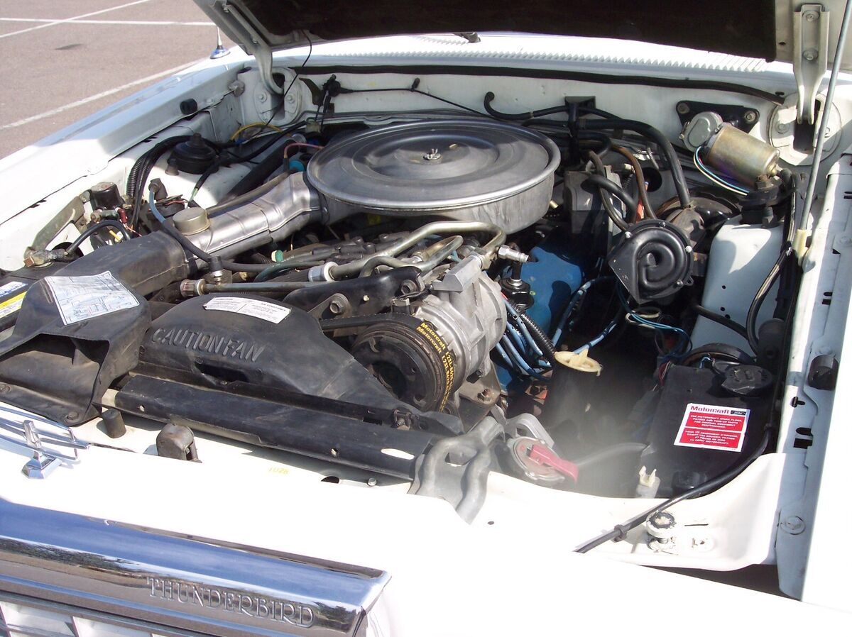 1982 Ford Thunderbird - photo 12