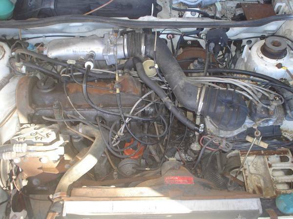 1982 Volkswagen Cabrio - photo 9