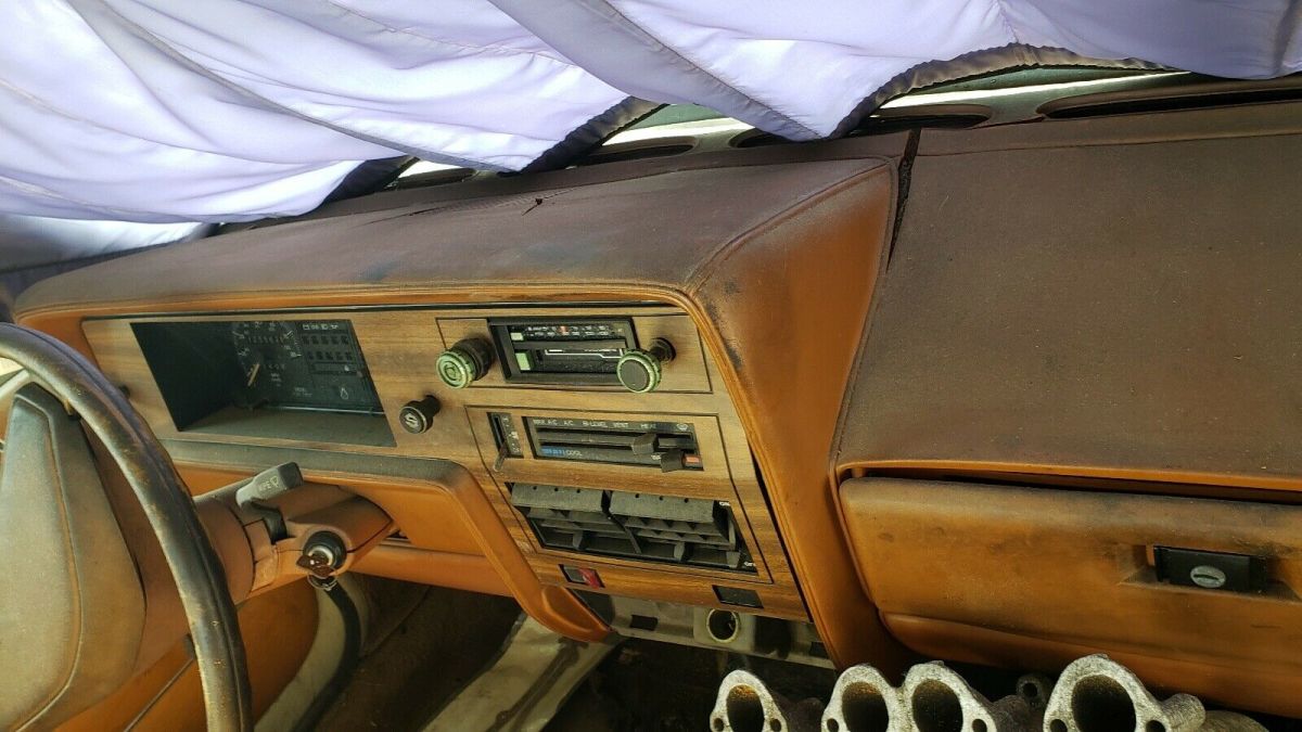 1982 Volkswagen Rabbit - photo 8