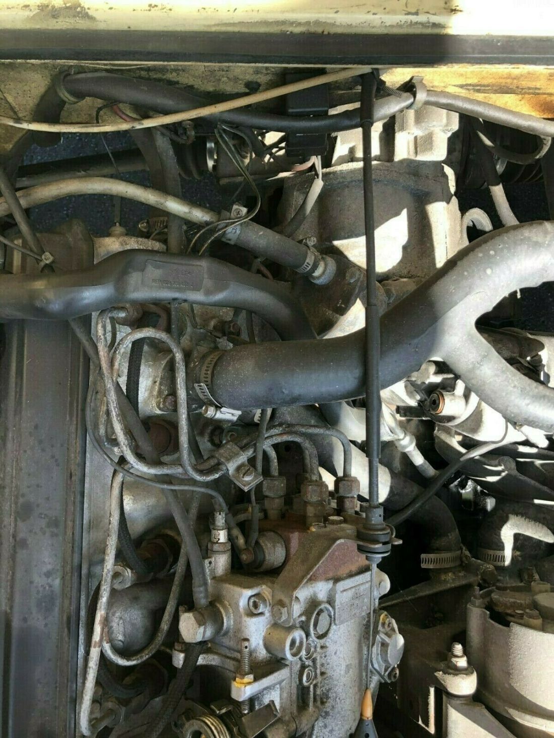 1982 Volkswagen Bus/Vanagon - photo 8