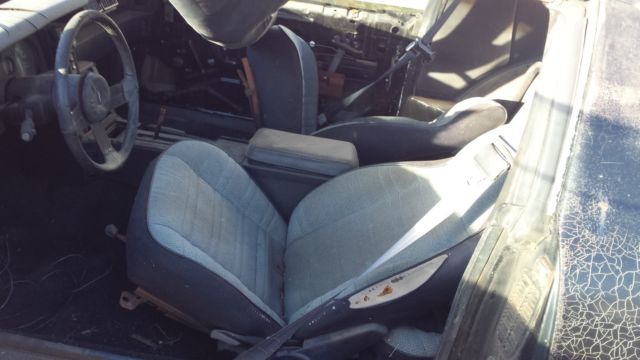 1982 Chevrolet Camaro Z28 - photo 5