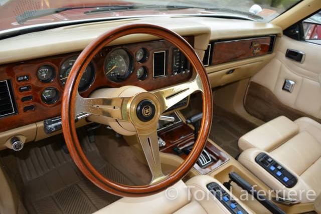1982 Other Makes Golden Spirit coupe 2 door - photo 11