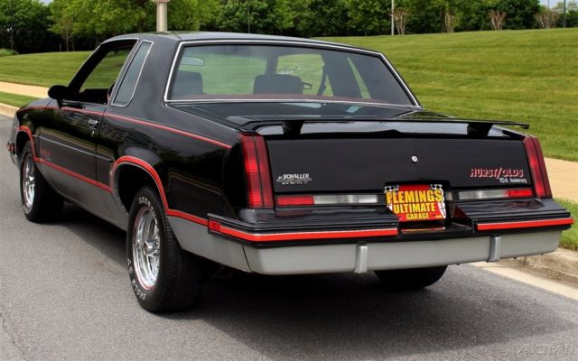 1983 Oldsmobile Cutlass 4-4-2 (442) 15th Ann Hurst - photo 12