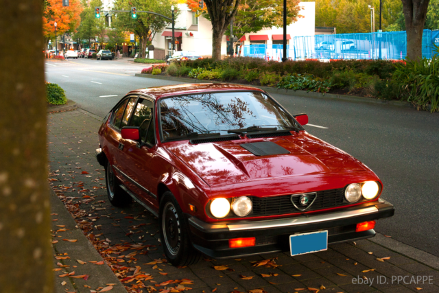 1983 Alfa Romeo GTV6