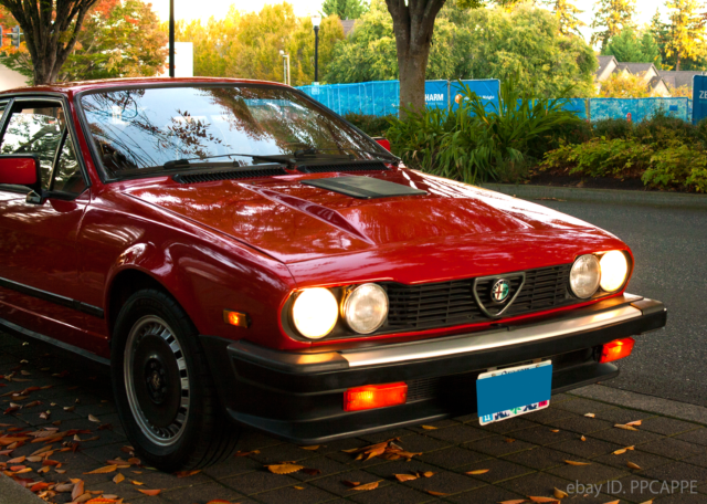 1983 Alfa Romeo GTV6 - photo 3