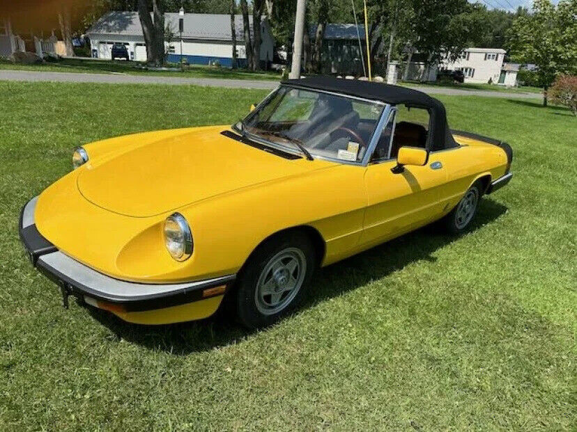 1983 Alfa Romeo Spider Veloce 2dr Convertible - photo 3