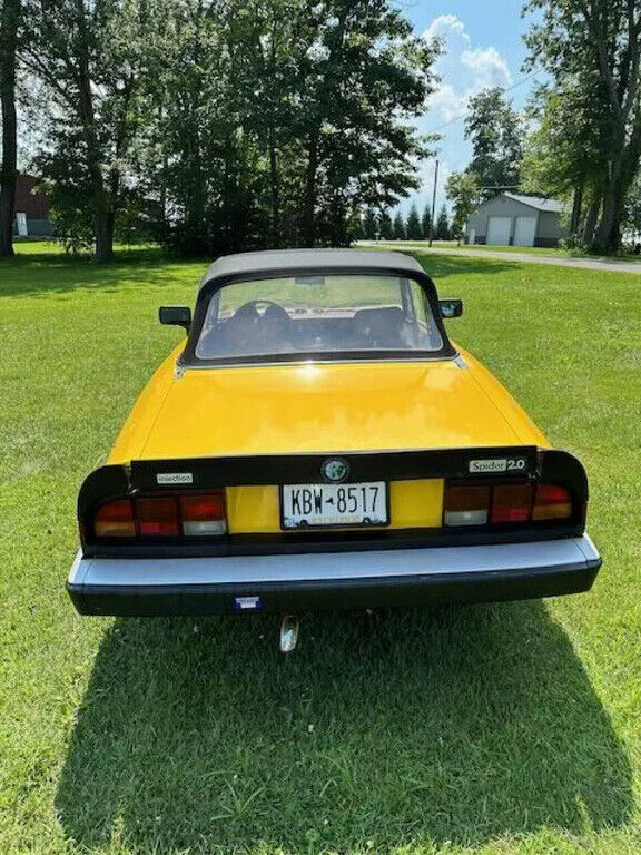 1983 Alfa Romeo Spider Veloce 2dr Convertible - photo 7
