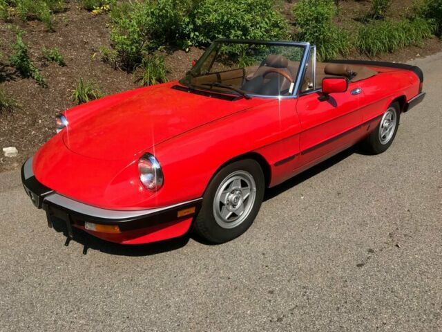 1983 Alfa Romeo Spider 62000 Miles Red 1983 Alfa Romeo Other --