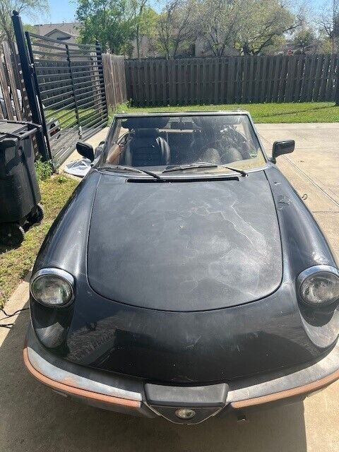 1983 Alfa Romeo Spider 2000 SPIDER - photo 2