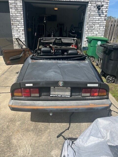 1983 Alfa Romeo Spider 2000 SPIDER - photo 4