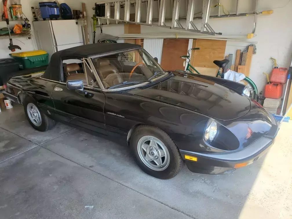 1983 Alfa Romeo spider, Family Owned 27 Years, Never in Salt, NO RESERVE! 1983 Alfa Romeo Spider
