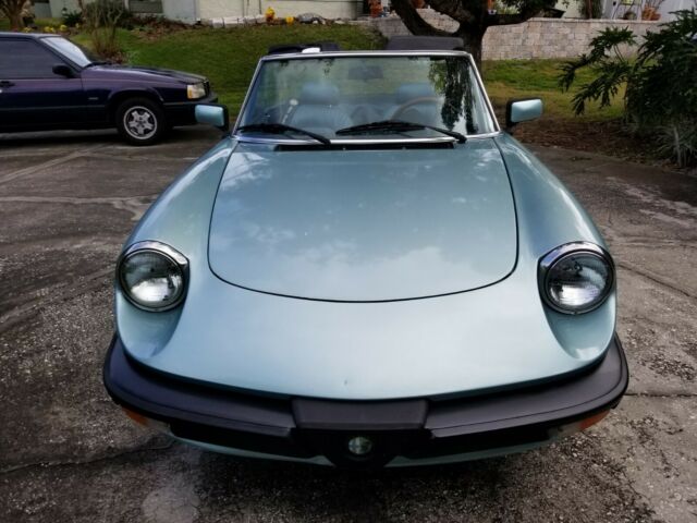 1983 Alfa Romeo Spider - photo 3
