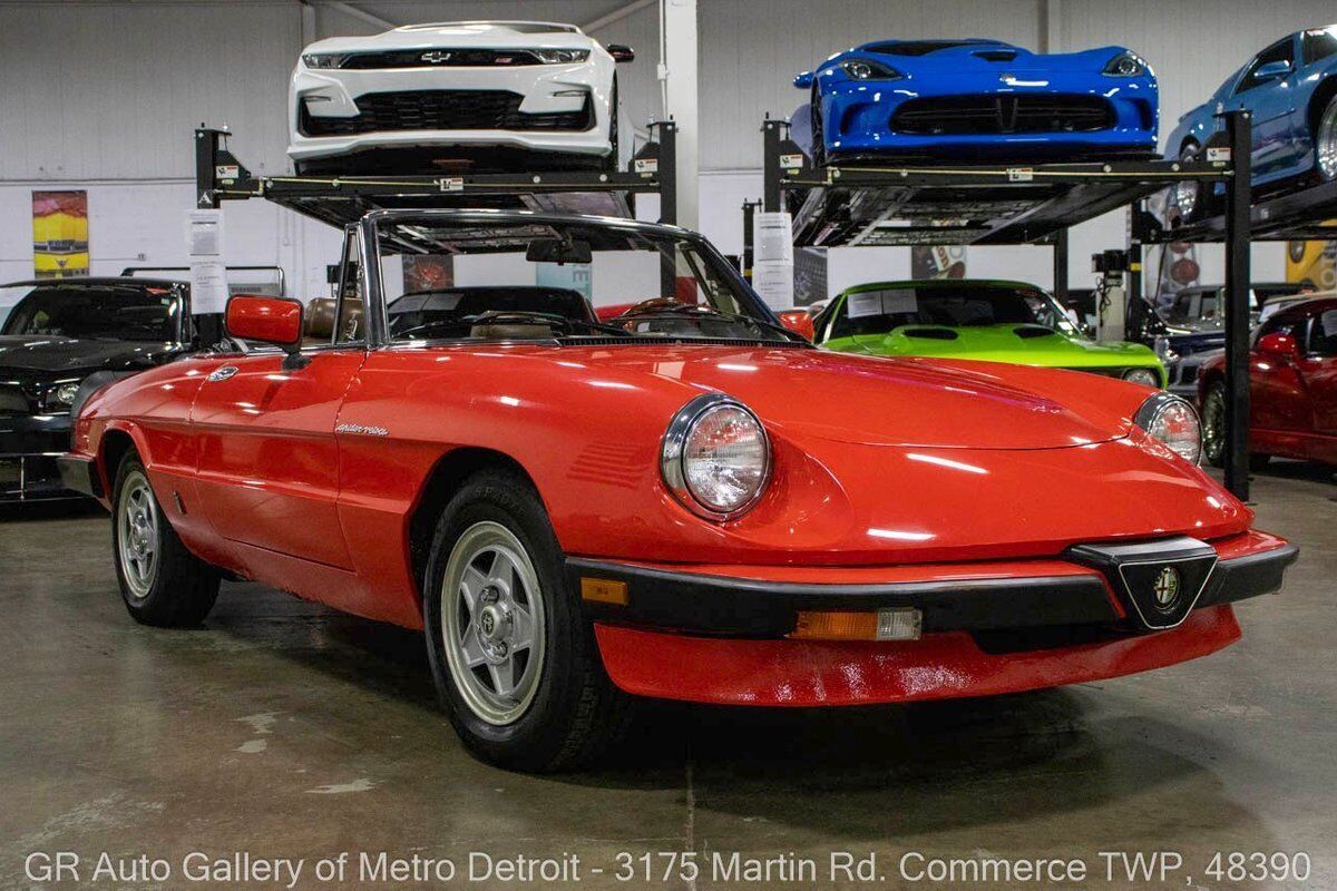 1983 Alfa Romeo Spider Veloce - photo 10
