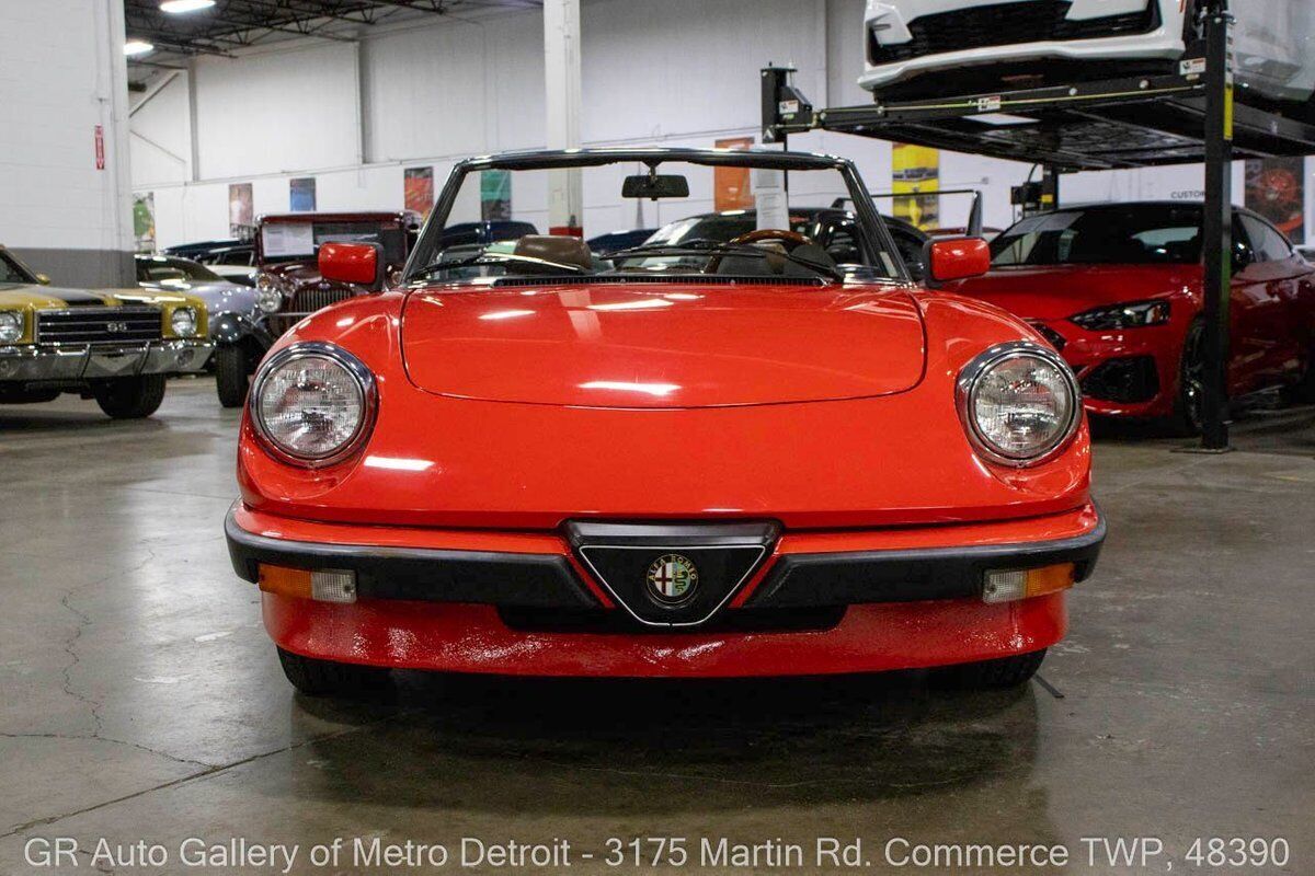 1983 Alfa Romeo Spider Veloce - photo 12