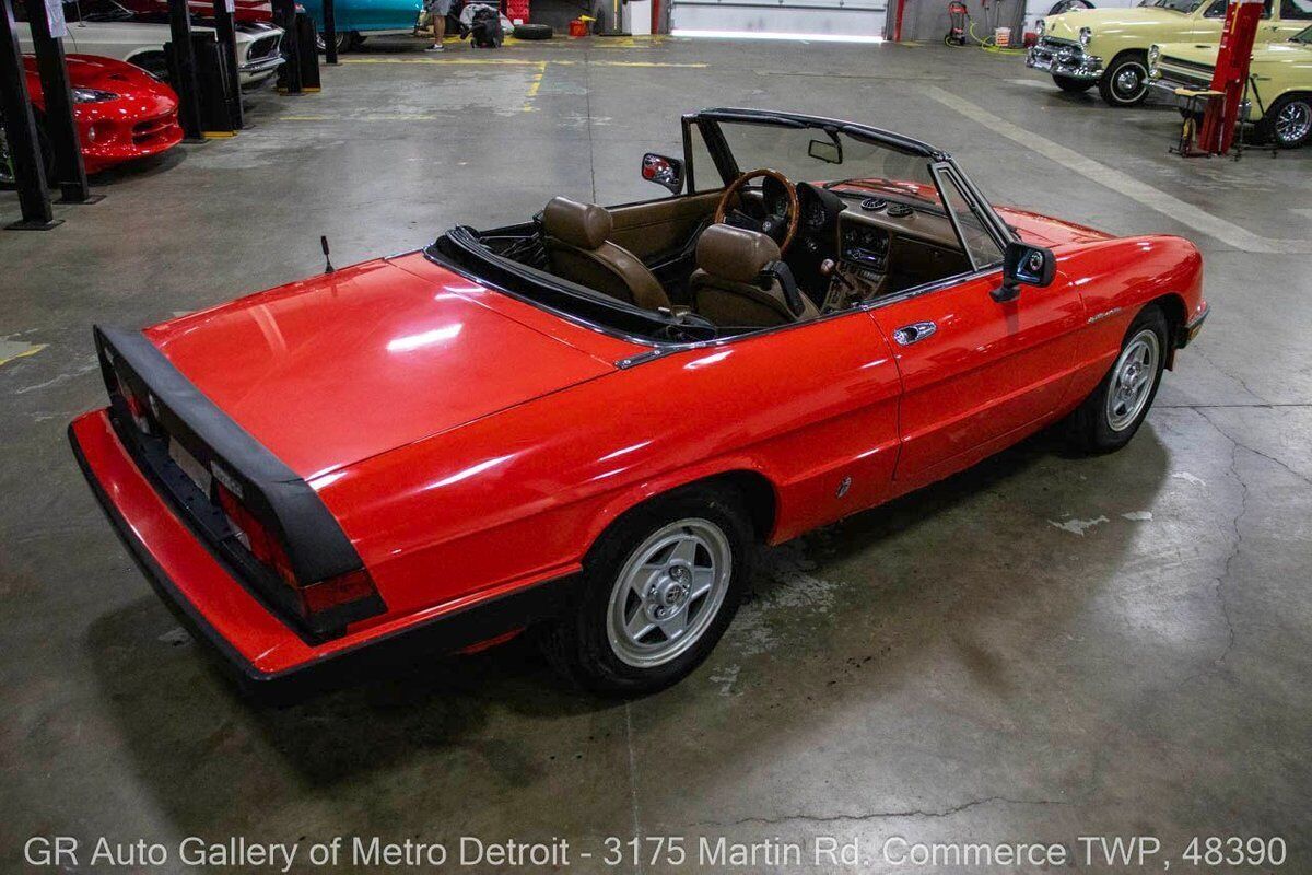 1983 Alfa Romeo Spider Veloce - photo 7