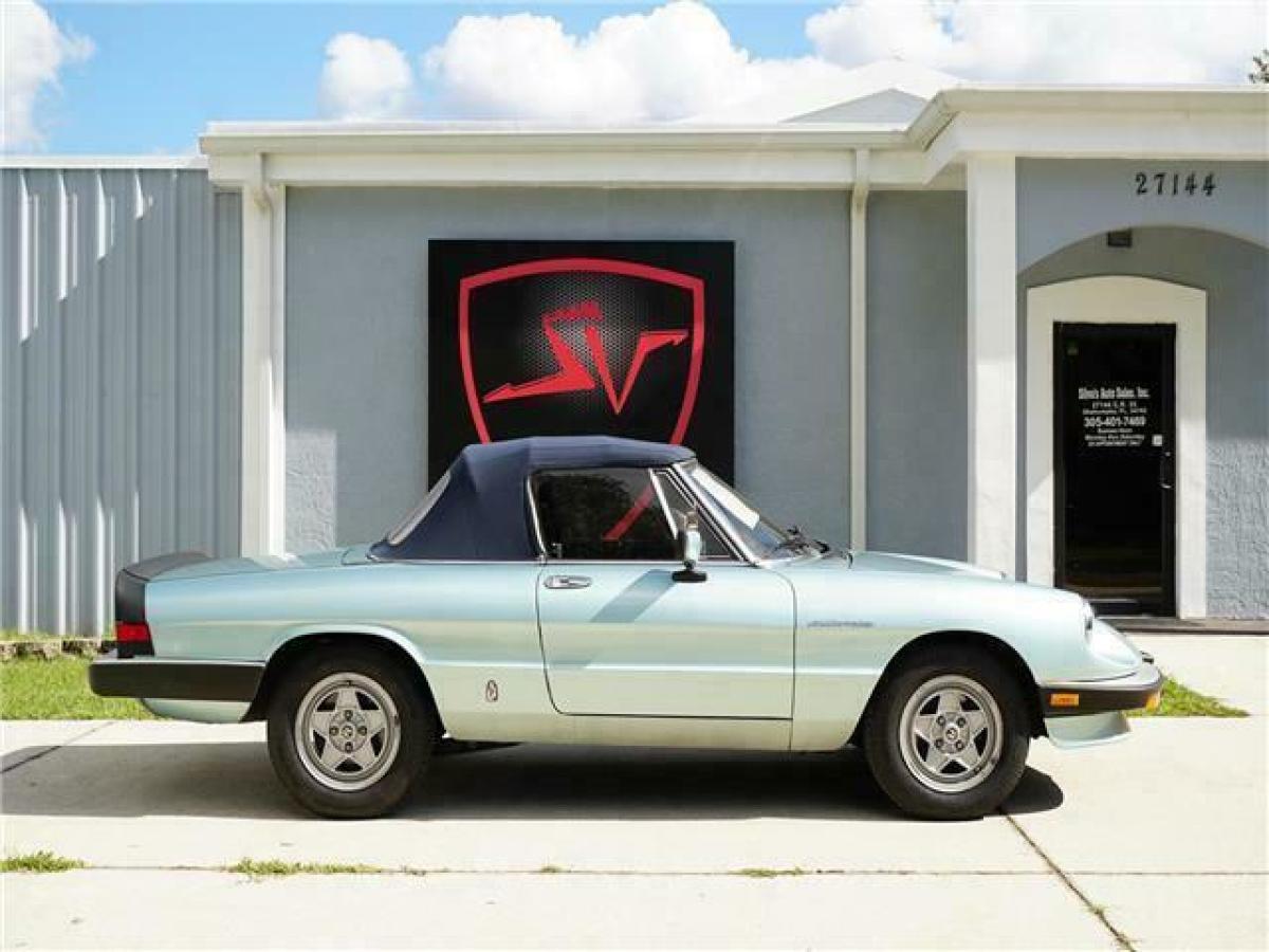 1983 Alfa Romeo Spider Veloce - photo 3