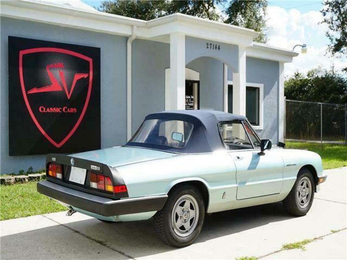 1983 Alfa Romeo Spider Veloce - photo 4