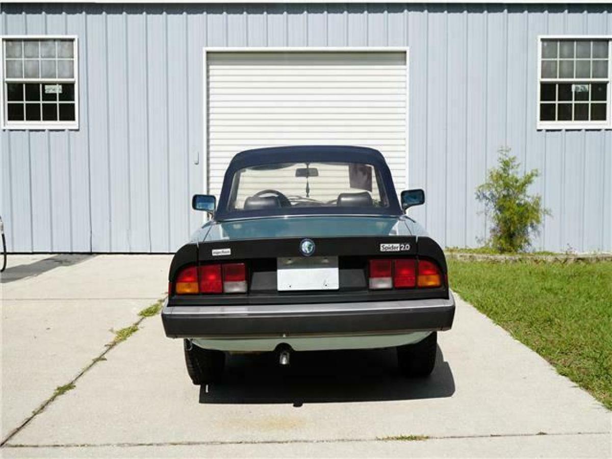 1983 Alfa Romeo Spider Veloce - photo 5
