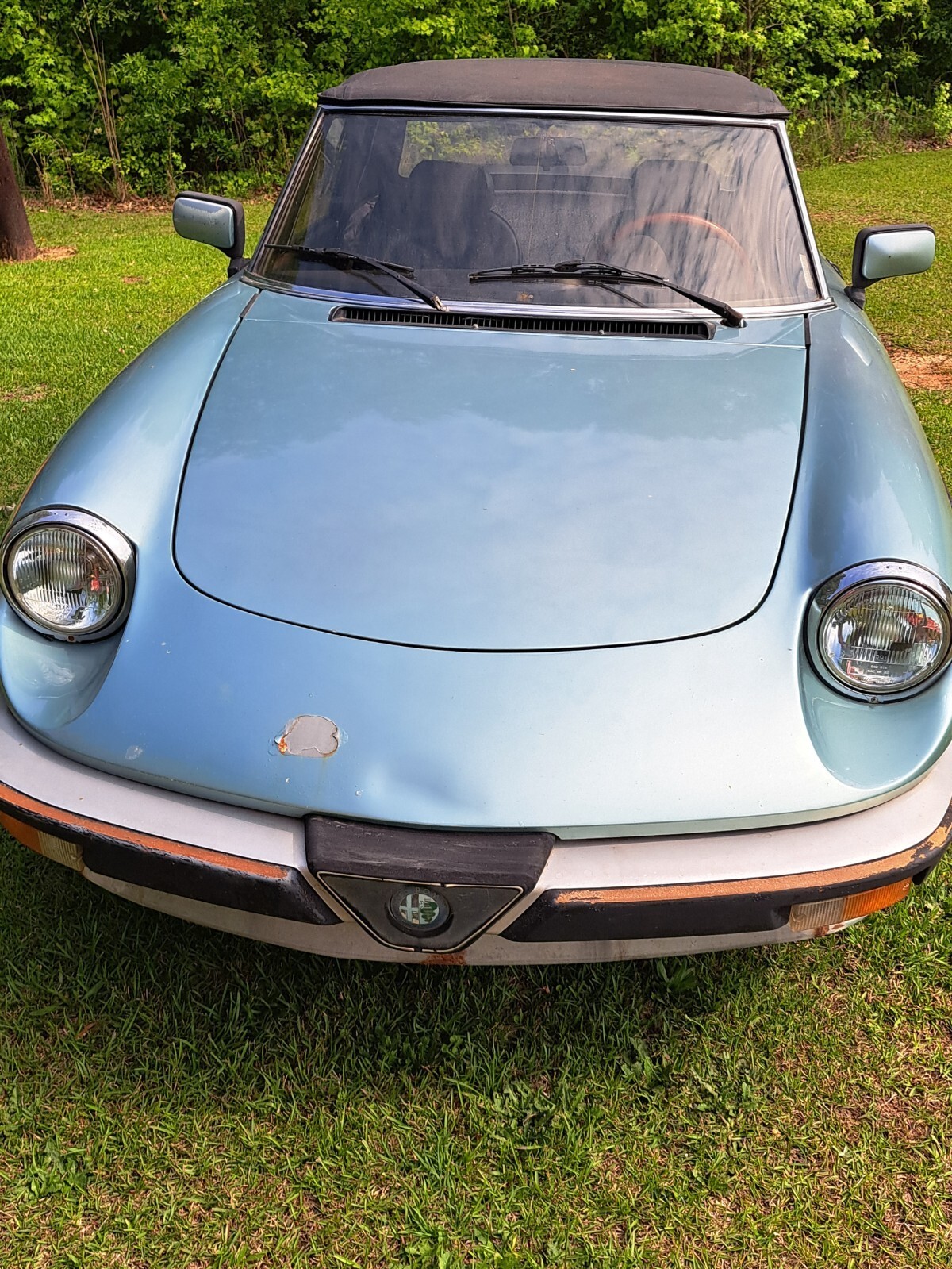1983 Alfa Romeo Veloce - photo 2