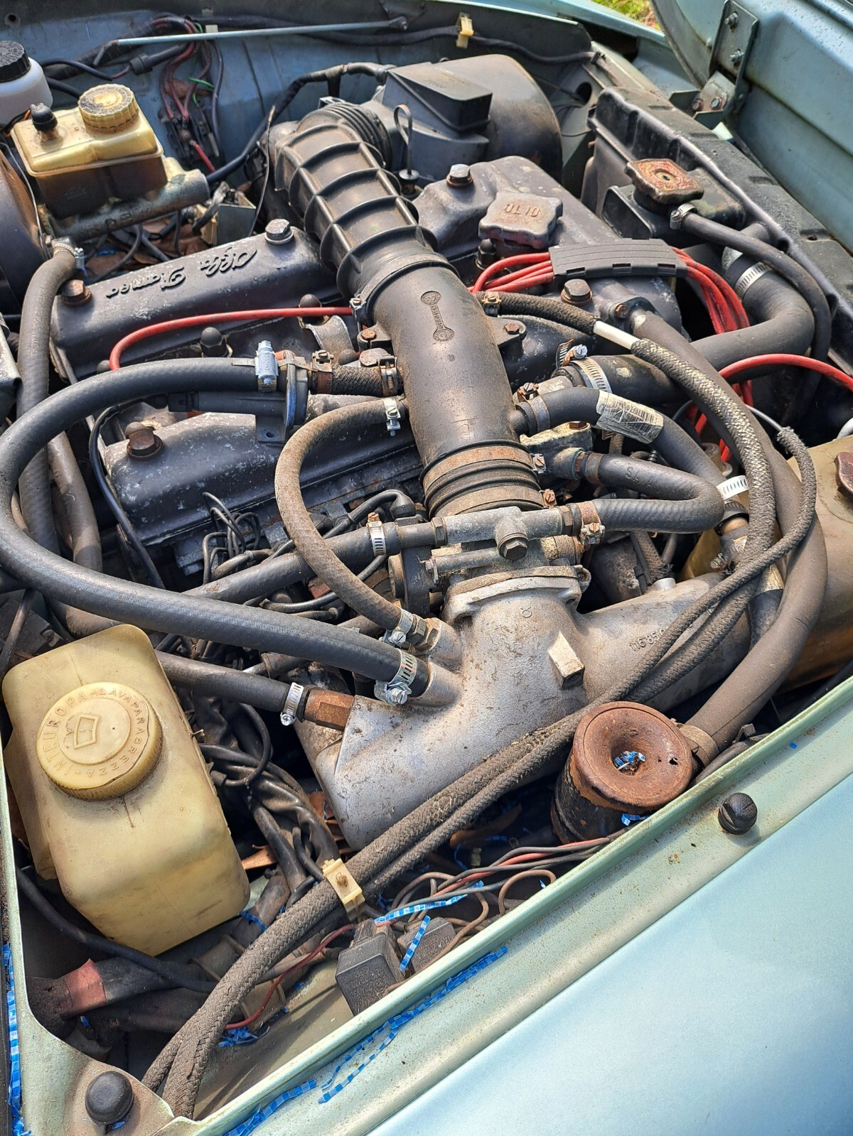 1983 Alfa Romeo Veloce - photo 4