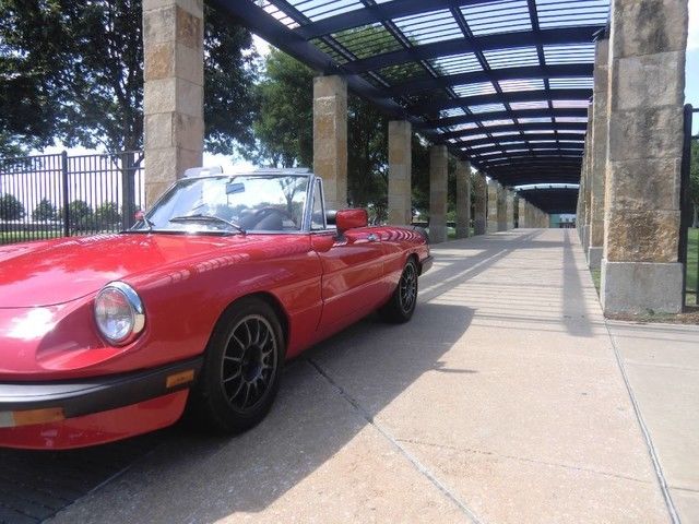 1983 Alfa Romeo Spider Veloce - photo 3