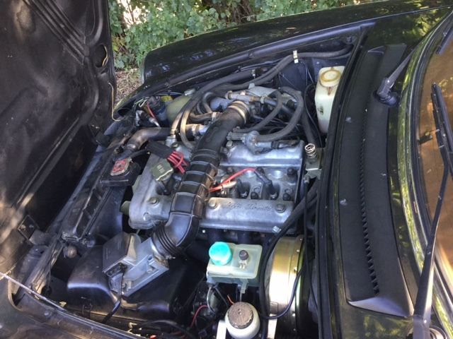 1983 Alfa Romeo Spider Veloce - photo 12