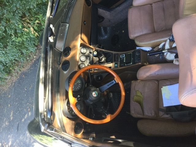 1983 Alfa Romeo Spider Veloce - photo 5