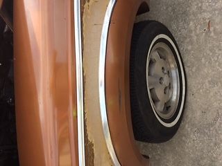 1983 AMC Other limited - photo 10