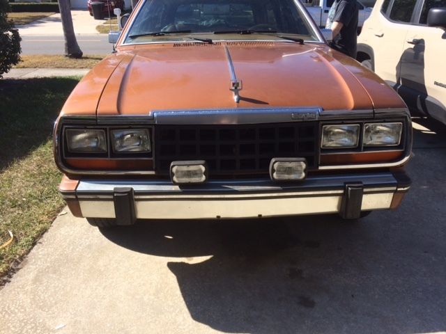 1983 AMC Other limited - photo 2