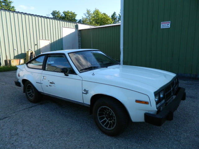 1983 AMC Other GT - photo 9