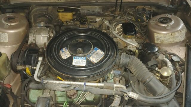 1983 Buick Century Limited - photo 11