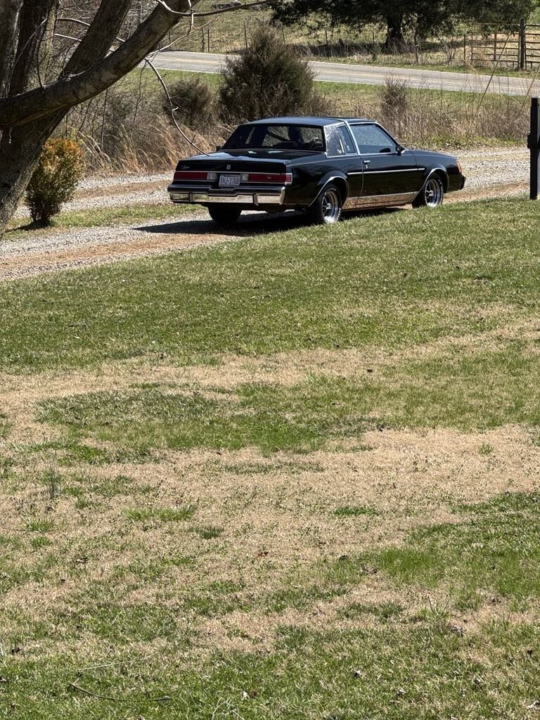 1983 Buick Regal LIMITED - photo 11