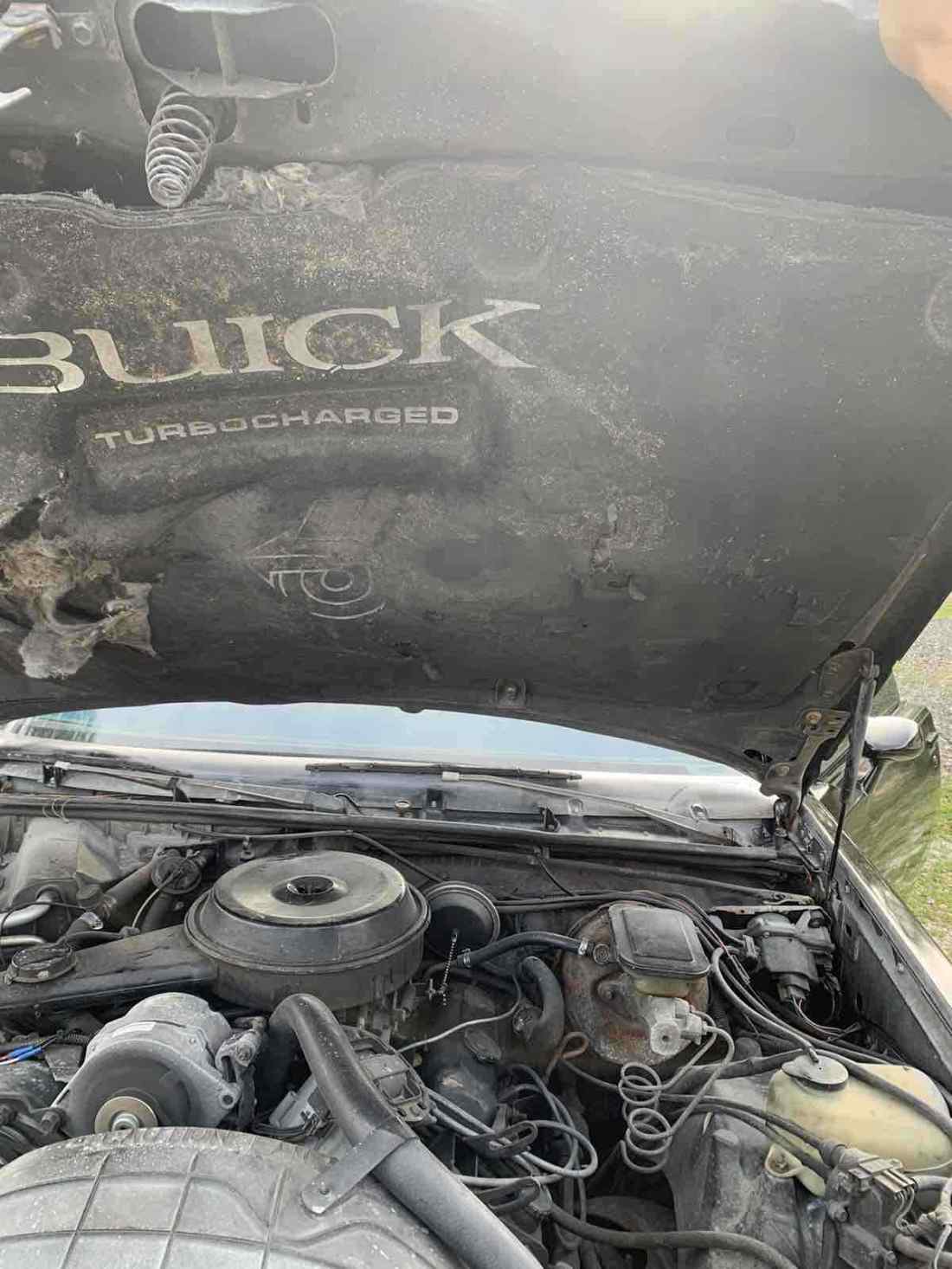 1983 Buick Regal - photo 12