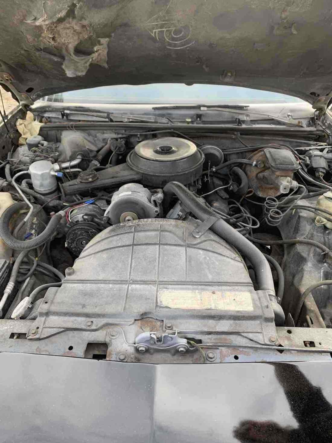 1983 Buick Regal - photo 13