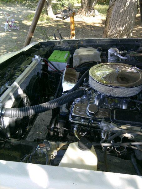 1983 Buick Regal limited - photo 6