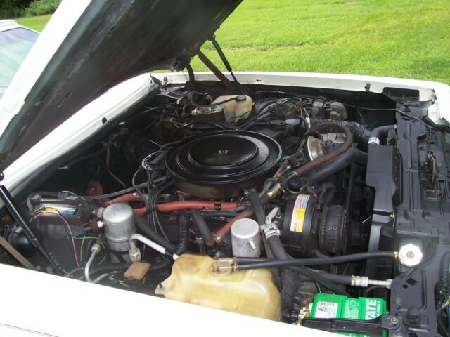 1983 Buick Riviera Conv. - photo 8