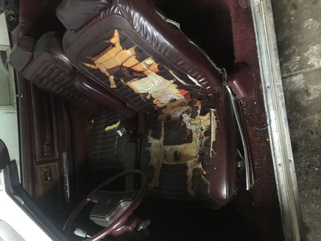 1983 Buick Riviera Convertible - photo 6